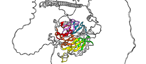 Cryptococcus neoformans WD40 Phenome Database